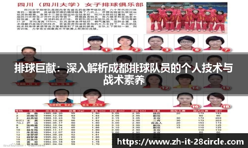 排球巨献：深入解析成都排球队员的个人技术与战术素养