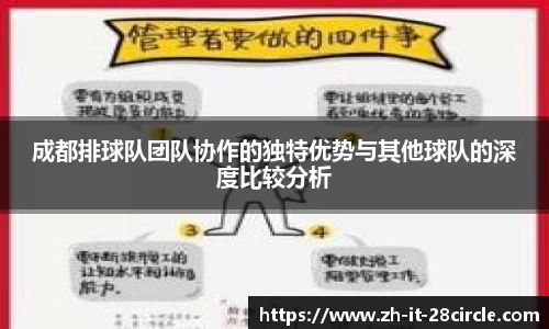 成都排球队团队协作的独特优势与其他球队的深度比较分析